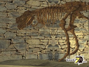 ティラノサウルス前足(tyrannosaurus)